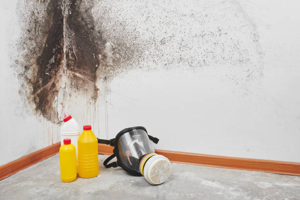 Best Professional Mold Removal  in Fairmont, IL
