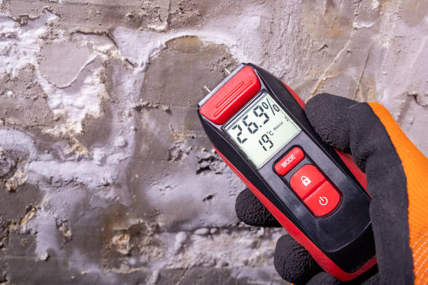 Trusted Fairmont, IL Mold Removal Experts