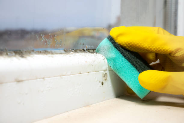 Certified Mold Removal in Fairmont, IL