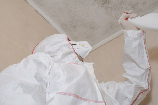 Best Local Mold Removal Service  in Fairmont, IL