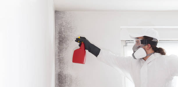 Water Damage Restoration in Fairmont, IL
