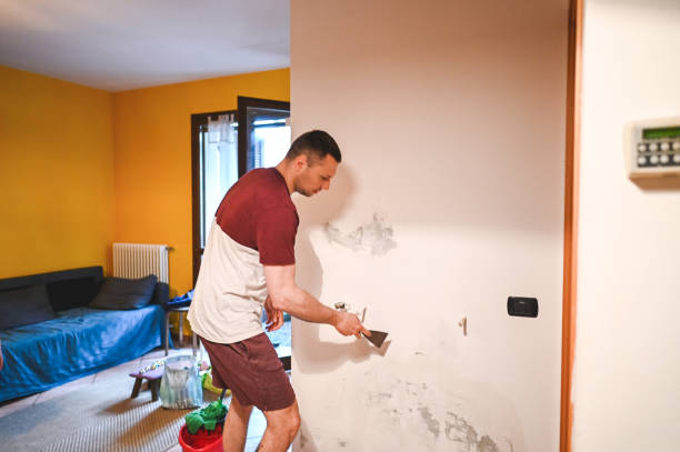 Best Water Damage Restoration  in Fairmont, IL