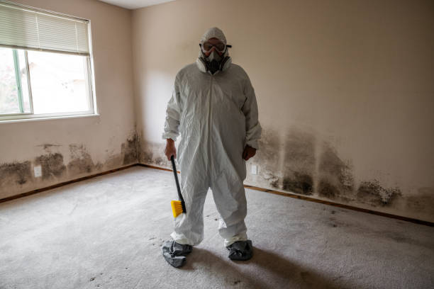 Best Mold Remediation Services  in Fairmont, IL
